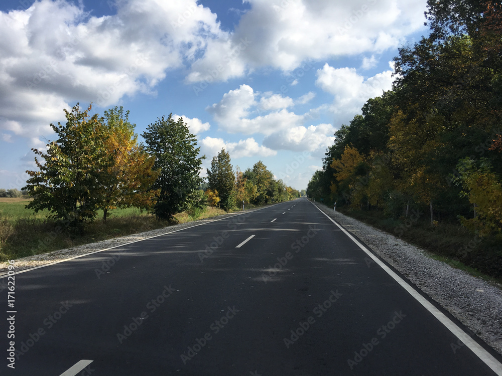 Driving during autumn towards Poroszlo Driving during autumn towards Poroszlo