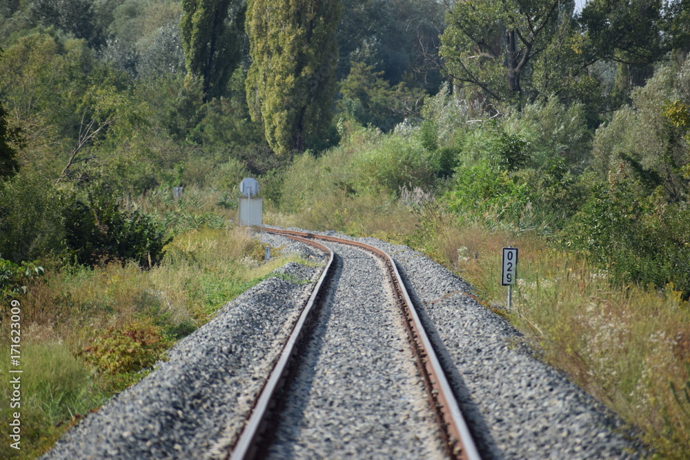 Obraz premium train
