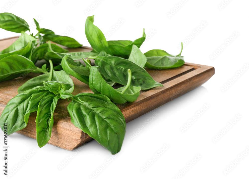 Green fresh organic basil leaves isolated on white Green fresh organic basil leaves isolated on white