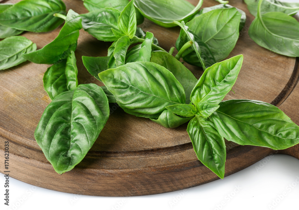 Green fresh organic basil leaves on white background, closeup Green fresh organic basil leaves on white background, closeup
