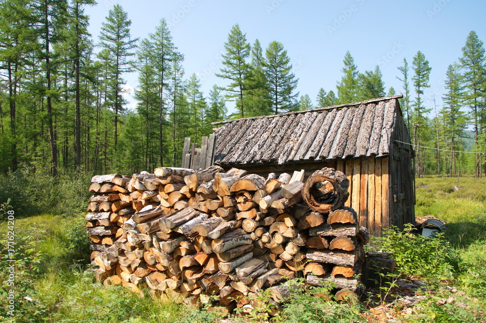 Wooden hunting lodge and pile of firewood in the wild taiga.