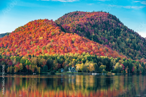 Fotomurale The hills covered with red maple forests behind a wooden house on the shore of a lake  in Quebec, on a beautiful autumn evening