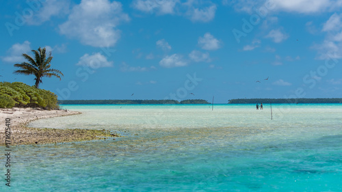 Fototapeta Naklejka Na Ścianę i Meble -      Paradise little island, motu, in French Polynesia, panorama
