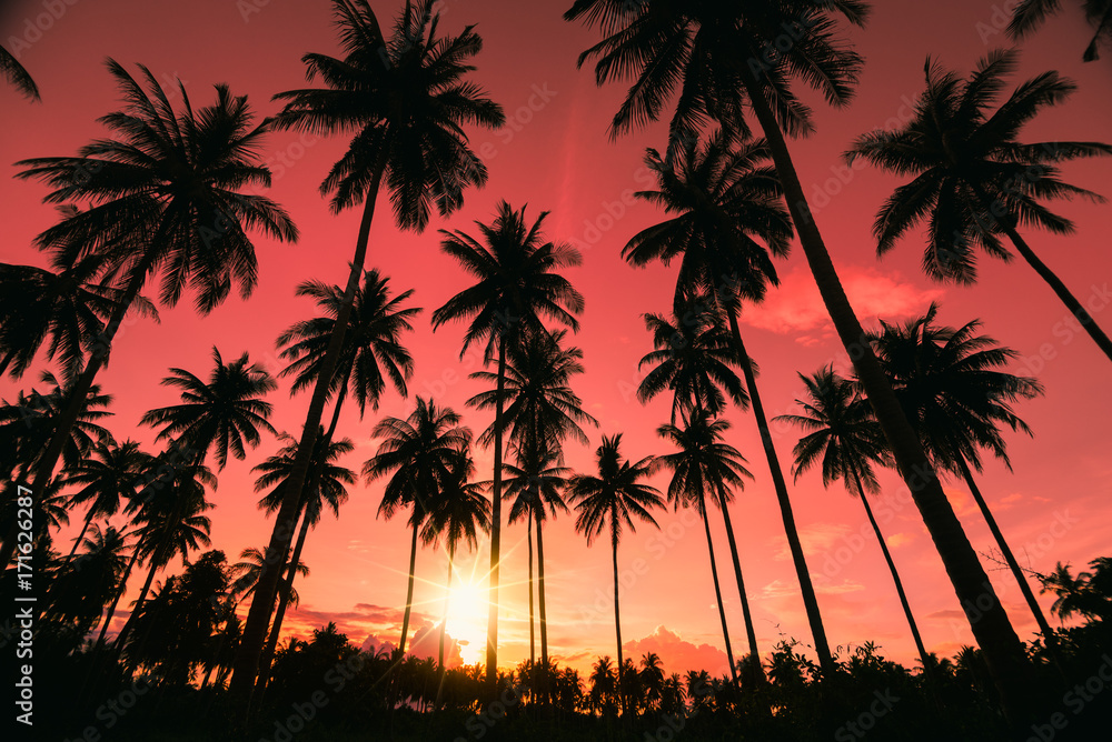 Silhouette Coconut Palm trees on tropical beach with colourful sunset sky in twilight time at Phuket province, Southern of Thailand.