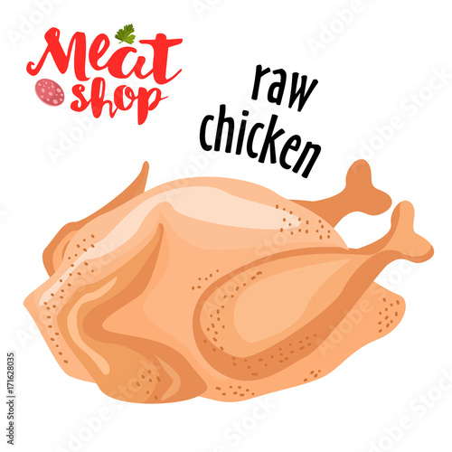 Meat vector - raw chicken vector. Fresh flat meat icon