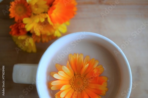 Milk tea with a calendula flower