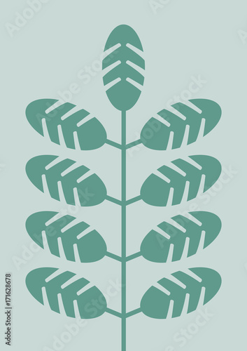 Plant Illustration