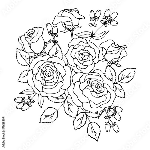 vector contour illustration of rose bouquet with berry
