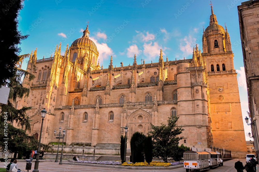 Salamanca old Cathedral, Spain