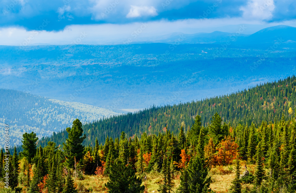Colourful autumn forest on top of a mountain ridge