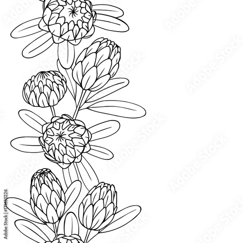 Fototapeta Naklejka Na Ścianę i Meble -  vector contour illustration of exotic flower bouquet frame