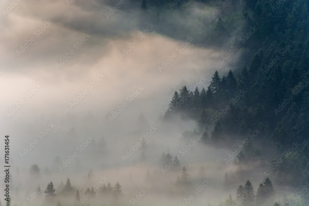 Wschód słońca Jaworzyna Krynicka,Beskid Sądecki ,Polska.