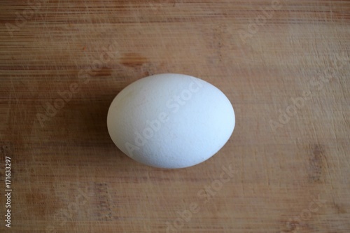 White chicken egg