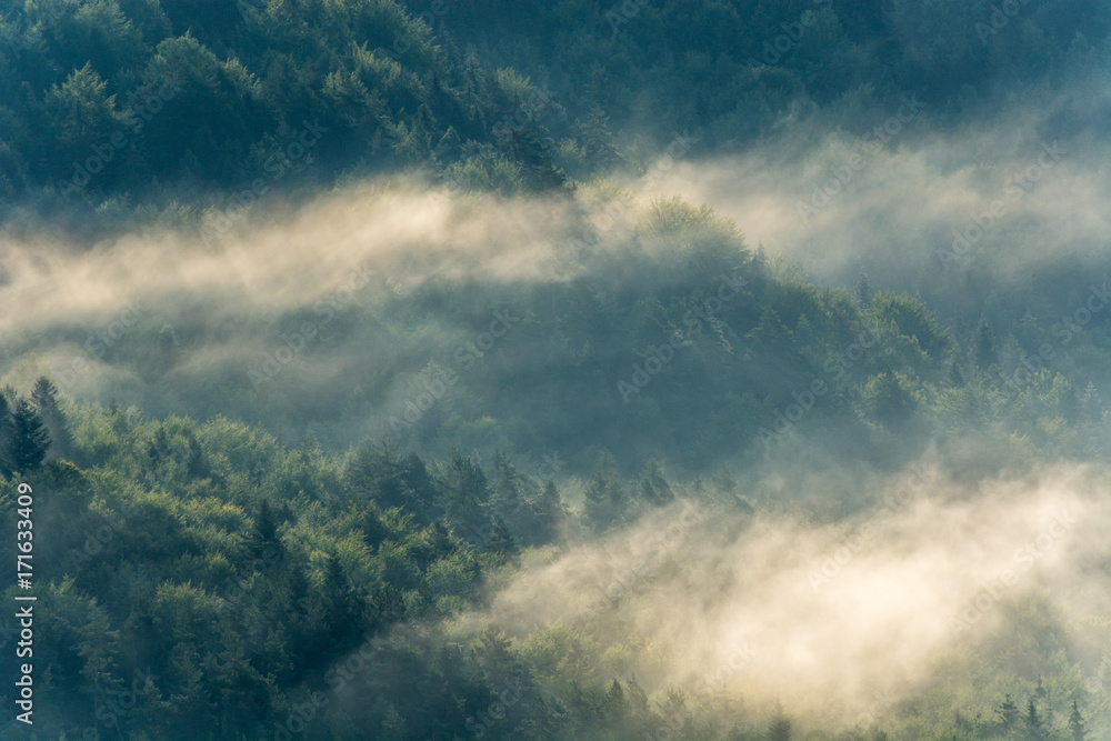 Wschód słońca ,Jaworzyna Krynicka,Beskid Sądecki. Wschód słońca ,Jaworzyna Krynicka,Beskid Sądecki.