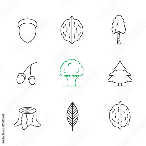 Forestry linear icons set
