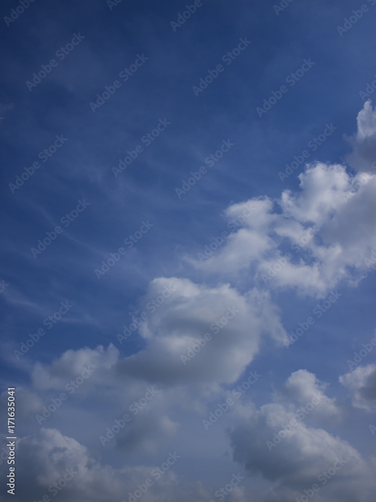 Fototapeta premium Nubes sobre el cielo azul. Clouds on blue sky