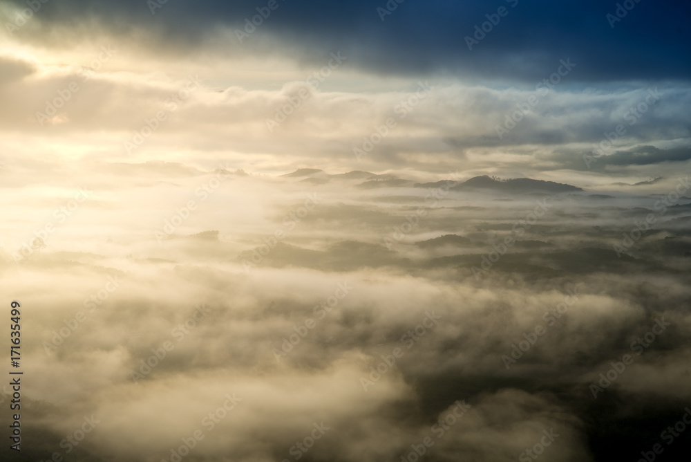 Mist sunrise over mountain and forest