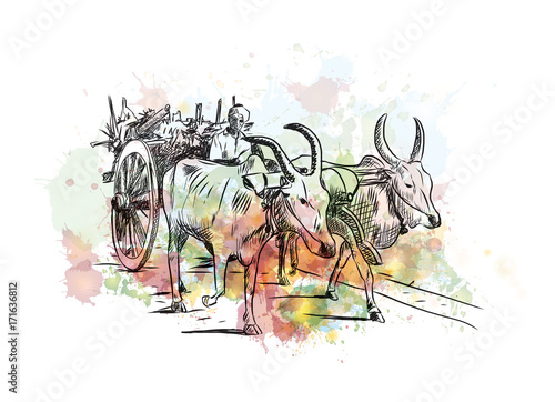 Watercolor sketch of Bull Cart in vector illustration.