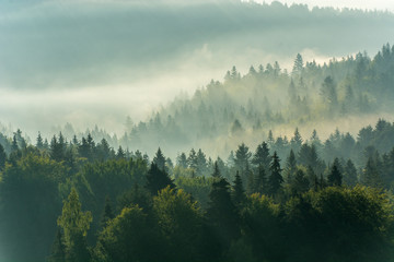 Keuken achterwand Mistig bos Zonsopgang boven Beskiden bergen Polen  © Adam Olszowski