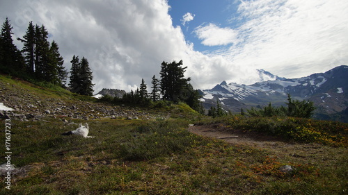 Exploring Washington, North Cascades
