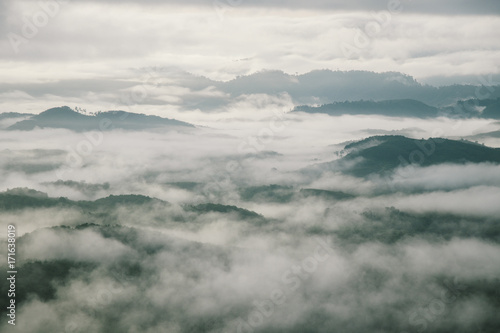 Fototapeta Naklejka Na Ścianę i Meble -  mist morning over forest at Thailand