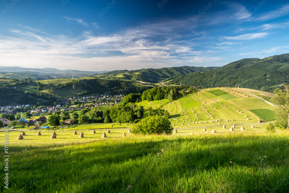 Sianokosy Rytro, Obłazy Ryterskie, Beskid Sądecki,małopolska