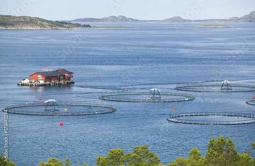 Fischfarm in Norwegen