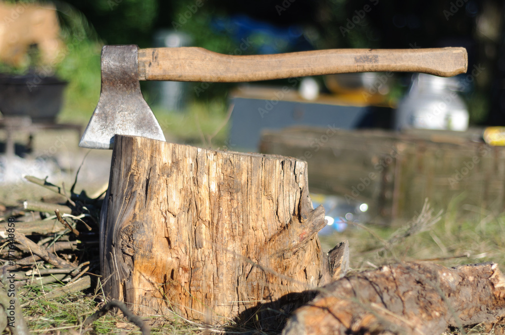 Ax in a tree stump in the morning in a camping Ax in a tree stump in the morning in a camping