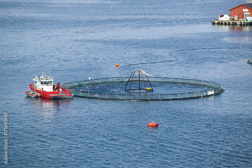 Fischfarm in Norwegen