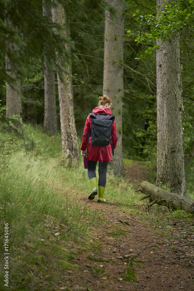 Woman in red coat hiking in the forest