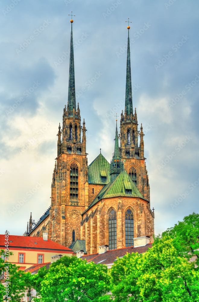 The Cathedral of Saints Peter and Paul on the Petrov hill in Brno, Czech Republic The Cathedral of Saints Peter and Paul on the Petrov hill in Brno, Czech Republic
