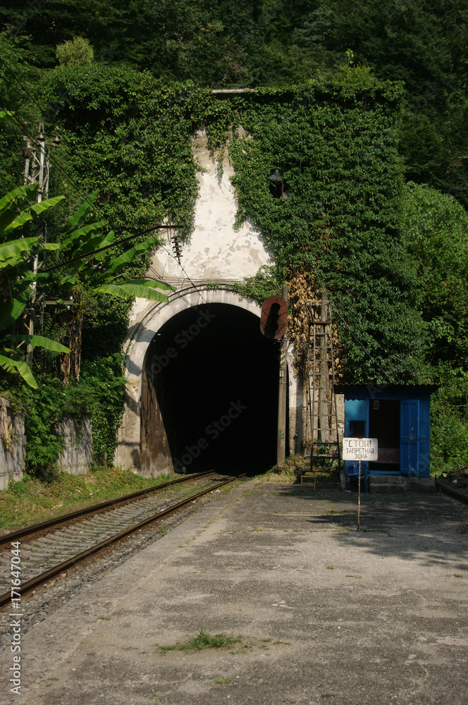 Fototapeta premium the tunnel