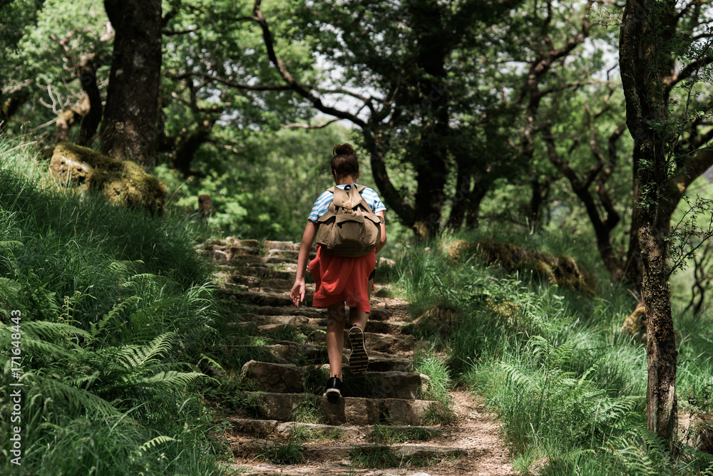 young woman walking on a path in the forest young woman walking on a path in the forest