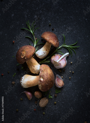 organic porcini Mushroom; seasoning forest Mushroom and Italian Spices Herb photo