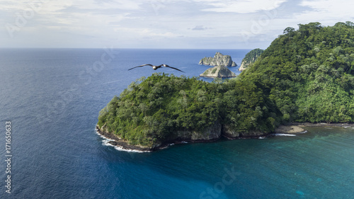 A seabird trying to attack drone, beautiful aerial view of Cocos island