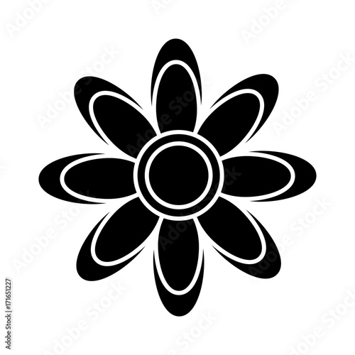 Beautiful flower symbol icon vector illustration graphic design