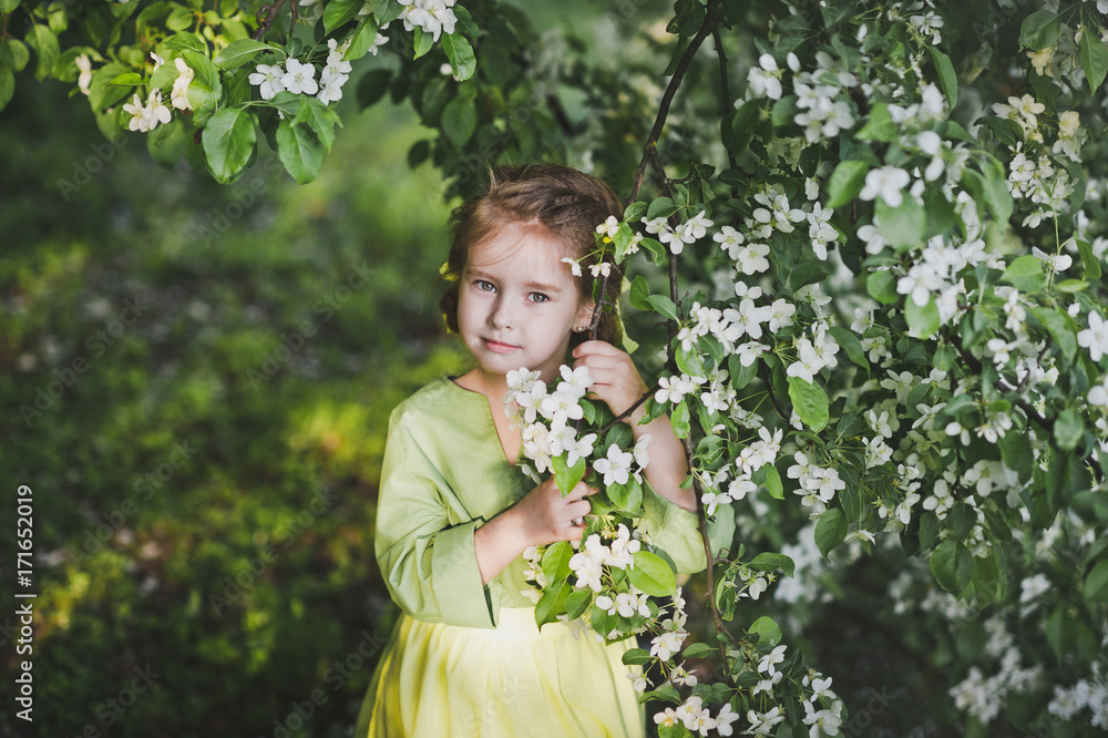 Portrait of a child standing near the branches of the cherry blossoms 8353. Portrait of a child standing near the branches of the cherry blossoms 8353.