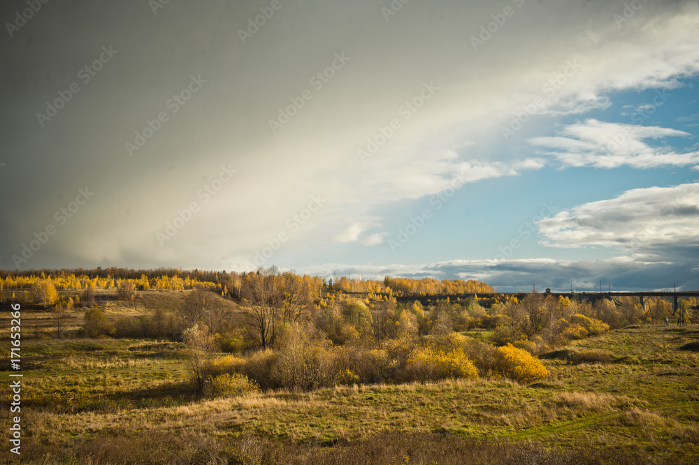 The Golden colours of nature and the railroad 8186.