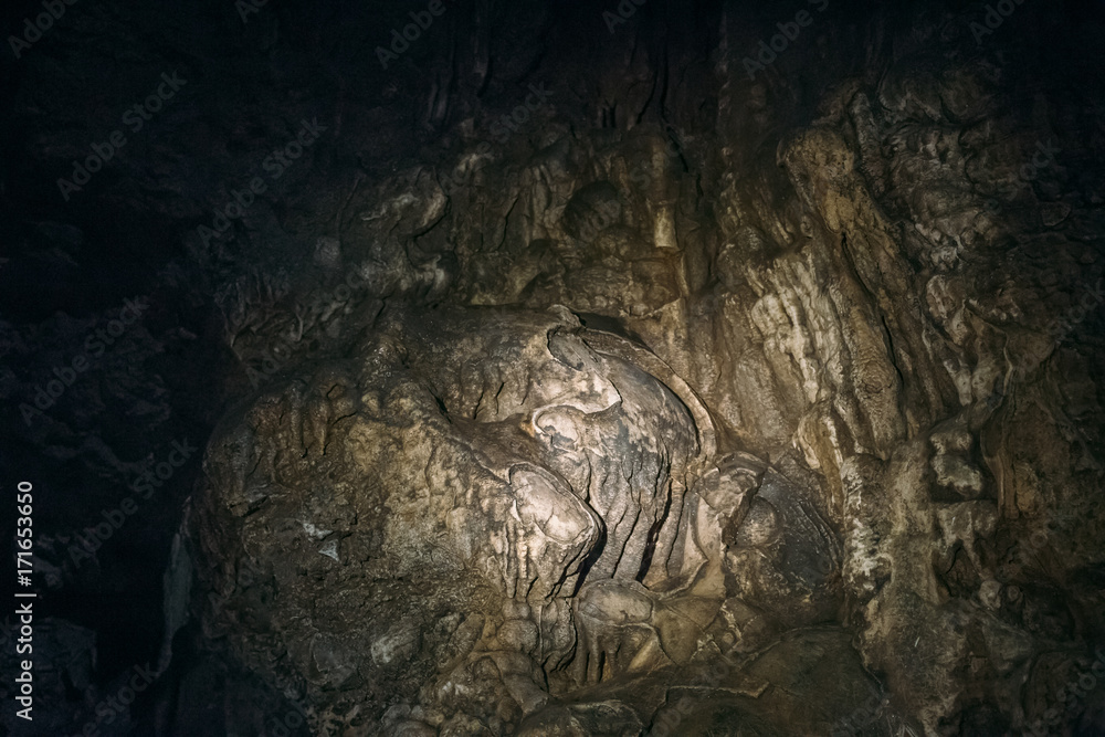 Ammonite prints left in the stone formations of the underground cave Ammonite prints left in the stone formations of the underground cave