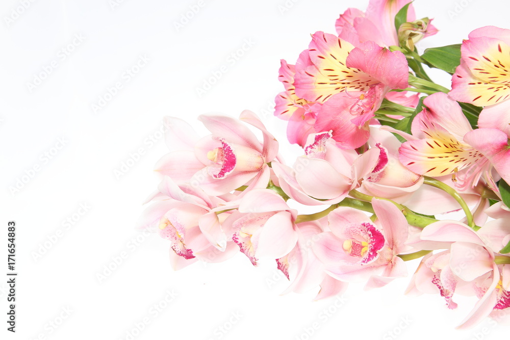 Obraz premium アルストロメリアとシンビジウム