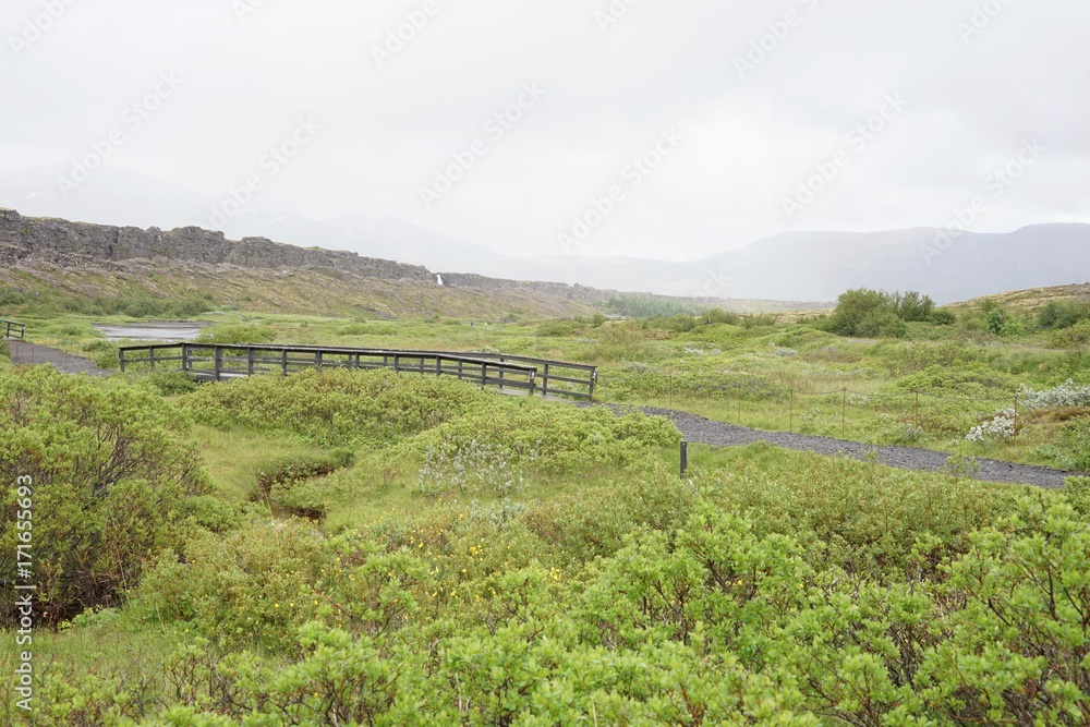 Obraz premium Landschaft in Islands Süd-Westen - Pingvellir - Golden Circle
