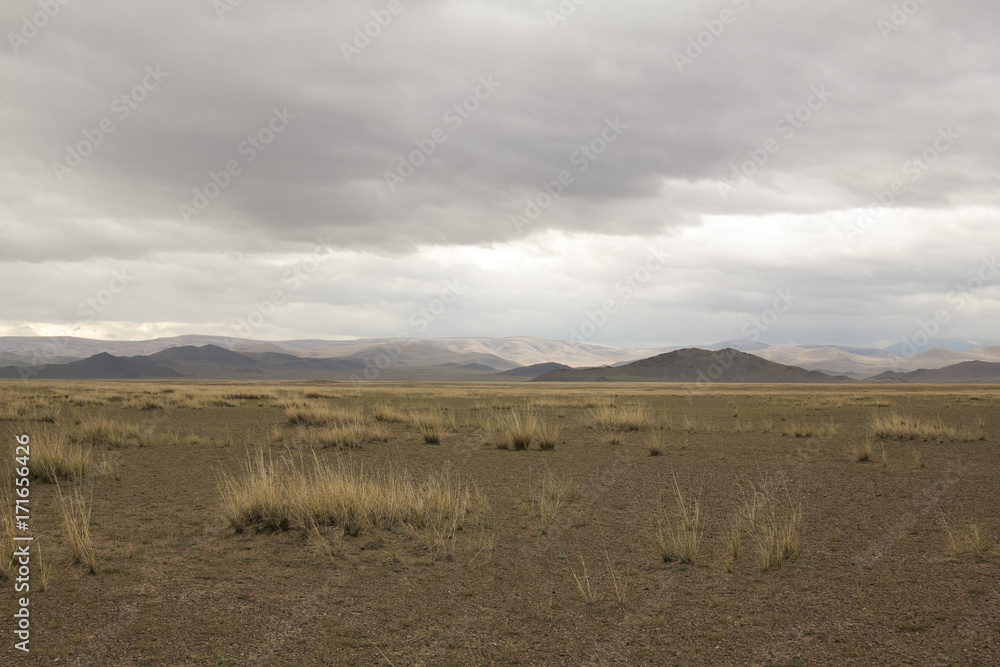 Beautiful view of Kurai steppe, mountain view with power lines on a cloudy day. Altai, Russia