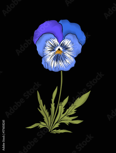 Pansy, violets flower for embroidery in botanical illustration s photo