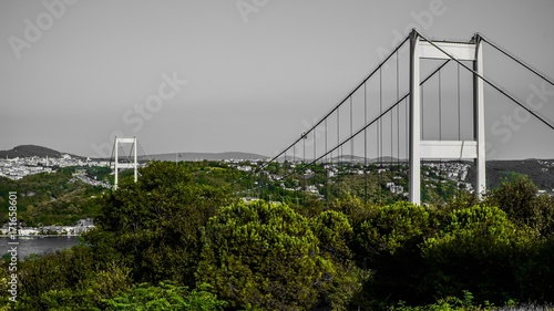 bridge © rikofly