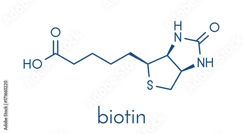 Vitamin B7 (biotin) molecule. Skeletal formula.