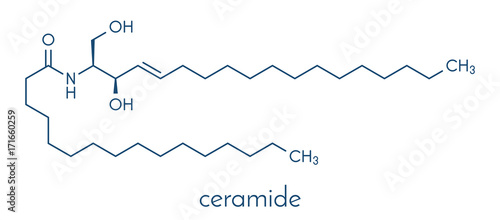 Ceramide cell membrane lipid molecule. Skeletal formula. photo
