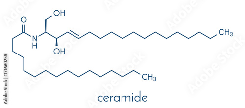 Ceramide cell membrane lipid molecule. Skeletal formula.