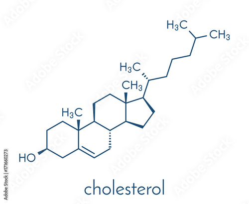 Cholesterol molecule. Essential component of cell membranes and precursor of steroid hormones, bile acids and vitamin D. Skeletal formula.