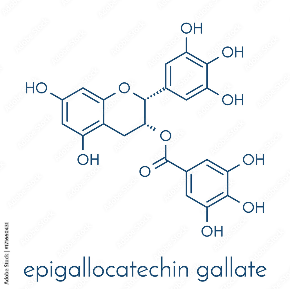 Epigallocatechin gallate (EGCG) green tea polyphenol molecule. Has antioxidant properties and may contribute to health effects of tea. Skeletal formula.