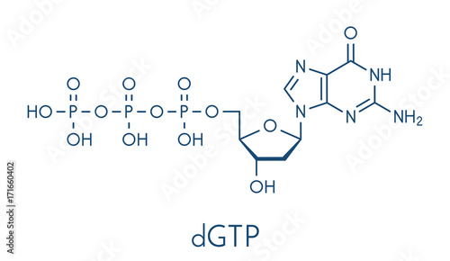 Deoxyguanosine triphosphate (dGTP) nucleotide molecule. DNA building block. Skeletal formula.